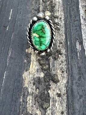 Navajo TJ Sonoran Turquoise & Sterling Silver Adjustable Ring
